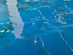 -SHRIMP CLUB万东餐饮钓虾·清吧