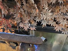 -城墙拐拐火锅(三峡广场黑金冠店)