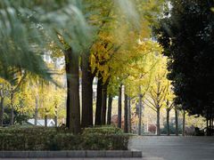 -苏州河梦清园环保主题公园