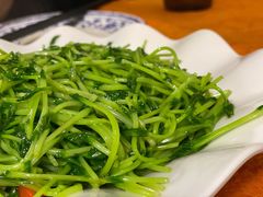 清炒豆苗-兄弟潮汕菜馆(车陂店)
