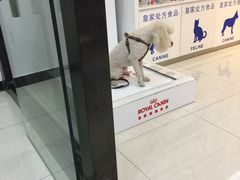-创凡宠物医院·骨专科  猫科中心(西乡分院)