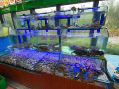 水产区-晶渔坊·海鲜私房菜(东夷小镇店)