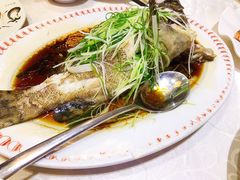 -凤城礼记鱼翅海鲜酒家(新马路总店)