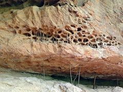 -浮山风景名胜区