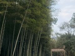 -黄公望隐居地