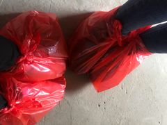 -胜丰草莓采摘园