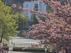 -青岛大学(金家岭校区)