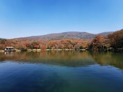 -紫霞湖公园