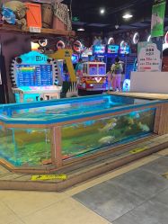 -卡通尼·Safari非洲探索乐园·生日会(金桥国际商业广场店)