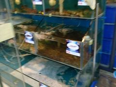 -Sasa的海(蜈支洲岛后海店)