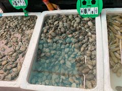 水产区-青石桥市场北1-27号