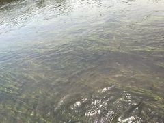-杭州双溪漂流景区