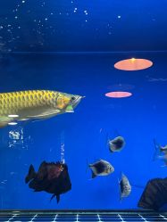 -青木造型HAIR·あおき髪を刈る潮人店