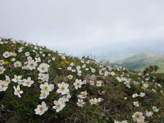 -灵山