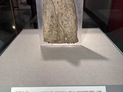 -北京大学赛克勒考古与艺术博物馆