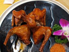-大鸽饭(马王堆店)
