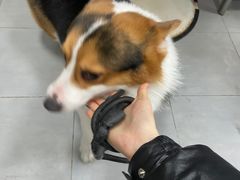 -宠福鑫康馨动物医院·骨科·眼科