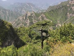 -圣莲山风景区