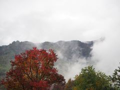 -塔川景区