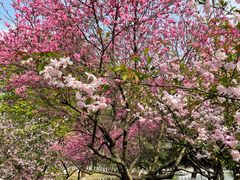 -白塘生态植物园