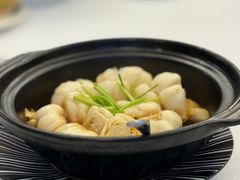 -金粤九号(李公堤店)