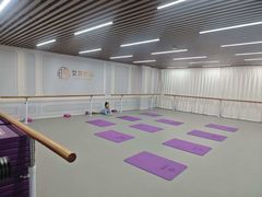 -艾莎舞蹈(中南大厦校区)