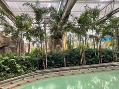 -南宫五洲植物乐园