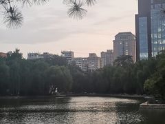 -团结湖公园