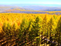 -塞罕坝国家级自然保护区