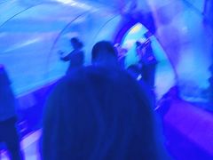 -重庆欢乐海底世界