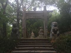 -菊花台公园