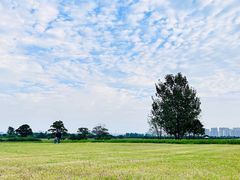 -汉长安城未央宫国家考古遗址公园