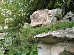 -漫渡庄绿岛花园•隐世庭园菜(滨湖店)