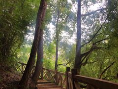 -广州市流溪河国家森林公园