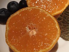 -海派悦庭·海胆烧麦·新融合菜(凯德广场店)