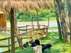 -南戴河国际娱乐中心