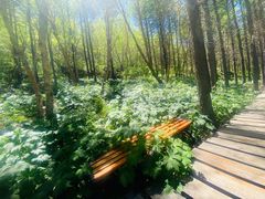 -白草畔自然风景区