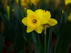 -共青国家森林公园-售票处