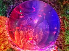 -沈阳海洋探索中心