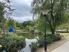 -白马涧龙池景区