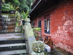 -峨眉山报国寺