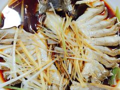 -煲来饱去冷水鱼