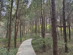 -千佛山风景名胜区