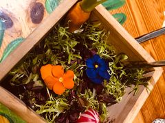 -烛影拾光观景餐厅·创意菜·摄影·小提琴(大唐不夜城店)