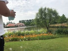 -上海长兴岛郊野公园