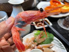 -daozao料理美术馆(东营店)