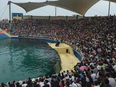 -秦皇岛乐岛海洋王国