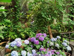 -The Flowers Coffee(南山店)