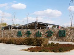 -莫子山公园