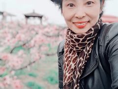 -樂桃源奉贤黄桃种植采摘基地